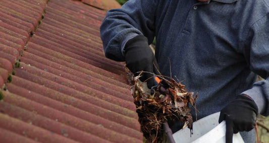 Gutter Cleaning Services