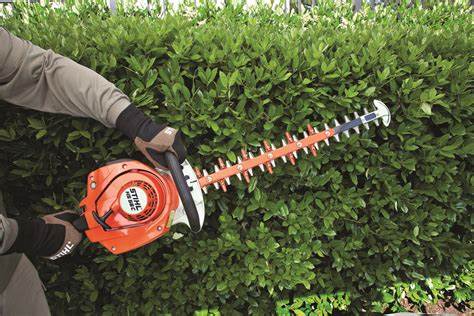 Hedge Trimming Services