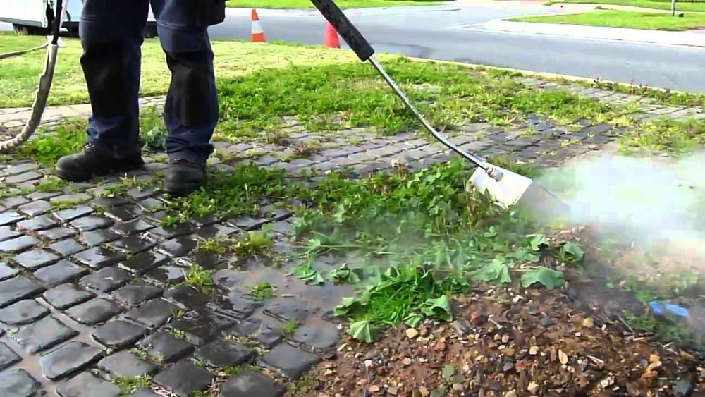 Weed Control Services