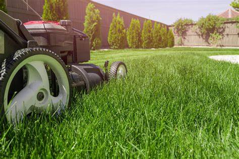 Lawn Maintenance Services